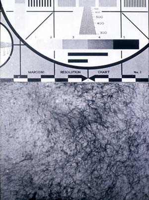 Skin test image with chart